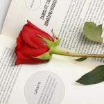 Стопка нераскрытых книг как символ литературной капитуляции
