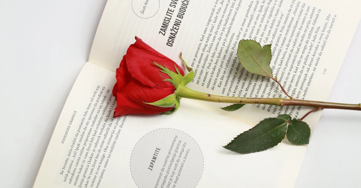 Стопка нераскрытых книг как символ литературной капитуляции
