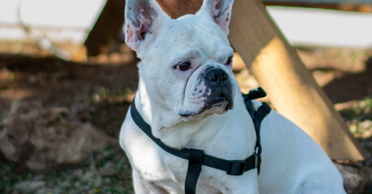 Казино с программами лояльности без депозита - бесплатные бонусы